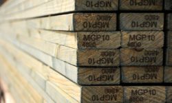 Timber Sale - Engineered Wood Products - Treated Or Untreated Mechanically Graded Plantation Pine