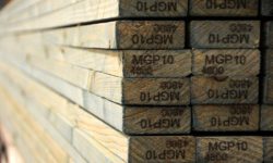Timber Sale - Engineered Wood Products - treated or untreated mechanically graded plantation pine