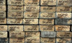 Timber Sale - Engineered Wood Products - treated or untreated mechanically graded plantation pine
