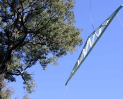 True Form Frames and Trusses - Roof Trusses Air Delivery